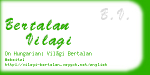 bertalan vilagi business card
