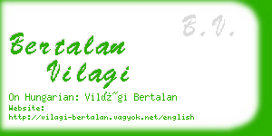 bertalan vilagi business card